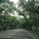 호암서원 | [2025.5] 호암미술관 겸제 정선