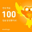 엉망진창이어도 우리 살아남자