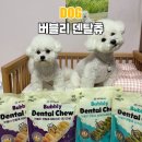 덴탈코리아 | 강아지 덴탈껌 성분까지 보고 고른 버블리 덴탈츄 후기