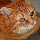 으뜸50 동탄2신도시점 이미지