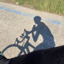 세븐일레븐 군남삼거리점 이미지