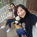 오봉제 | 판다월드 맛집《아이바오의 디저트 카페 》