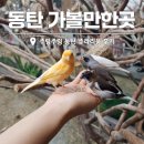 쥬라리움동탄점 | 동탄 아이와 실내 가볼만한곳 주렁주렁동탄 쥬라리움 비교 후기