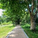 양서농협 앞 이미지