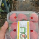 백제태권도장 이미지