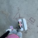 (유)진렌트카 이미지