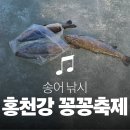 움사랑지역아동센터 | 2026 홍천강 꽁꽁축제 | 역대급 흉작이었던 올해 낚시, 내년에도 과연 가볼 만할까요?
