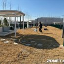 스타반려견 교육센터 이미지