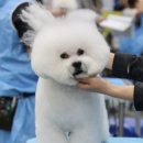 신한동물병원 앞 이미지