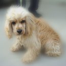 산남동물병원 이미지