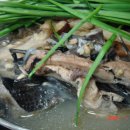 진영농장 이미지