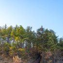 충의공 엄흥도 역사탐방로 이미지