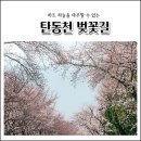 탄동천2 이미지