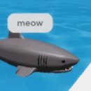 meow 이미지
