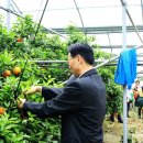 김필환농장 이미지