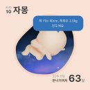9_임신 31-32wks 기록