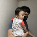 하비함미 이미지