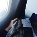 엘에이 | 인천-엘에이,뉴욕 유나이티드항공 델타항공 후기