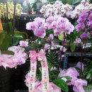 새명덕약국 이미지