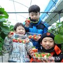 지운농장 이미지