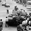 평화당1979 이미지