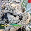 순이네건어물