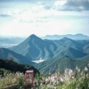 바람이 좋은 저녁 이미지