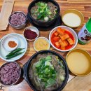 연수역 | 인천 동춘동 맛집 연수역 해장국 제주은희네해장국 낮술 후기