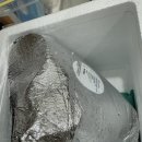 창원떡집 추천, 아침대용으로 너무 좋았던 퓨전떡연구소 아이엠떡 설기세트 후기