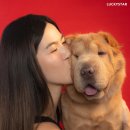 럭키스튜디오사진관