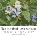 토우 농장 이미지