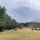 행복매지매지 이미지