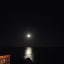 풍년오리박사 이미지