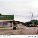 평창들꽃 이미지