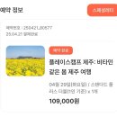 G9와 함께 떠난 제주도 1박 2일 혼자 여행 🍊📸⛰️ -1- (주말토리 플레이스 캠프 제주 여행 후기)