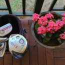 힐나인골프장 이미지