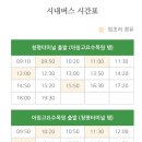 가평 여행 코스 추천 | 아침고요수목원 강추 후기_할인 꿀팁, 가평시티투어버스