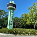 미니스톱 송내점 | 인천대공원 동물원 주차장 텐트 자전거 코스모스 장미