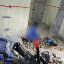 고덕면017 이미지