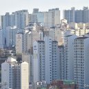 서울부동산중개인 이미지