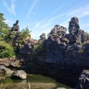 위미중앙로 이미지