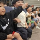 아기공룡 크로롱 이미지