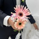 헤넴 이미지