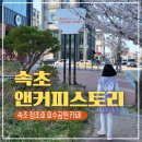 속초 앤커피스토리 청초호 호수공원 근처 예쁜 대형카페 추천
