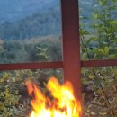 블루문캠핑장 이미지