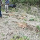 도연농원 이미지