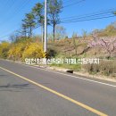 지방도909호선 이미지