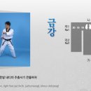 한국체대 태평양 태권도 이미지