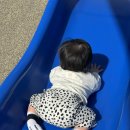 세아 세탁 | 세아랑 플리츠 XS 실착 3개월 내돈내산 후기