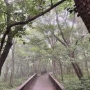 혼디오몽 | [제주여행] 비오는날 흐린날 강추! <서귀포 자연휴양림>